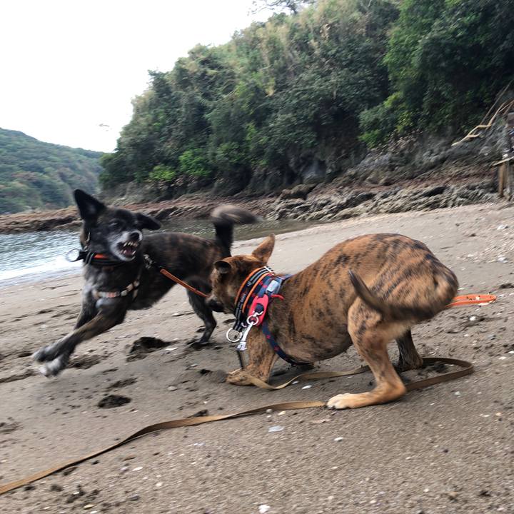 Fc5bf4f0 cab1 4fe2 929a 138f7617c077 1600776986448