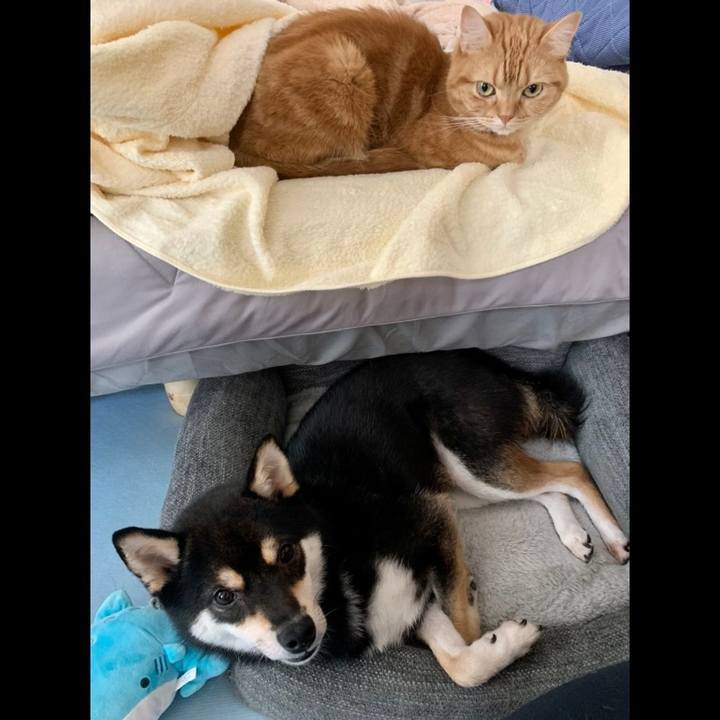 Fc5bf587 31d3 4786 b046 da99a89f6e7b 1623318310366