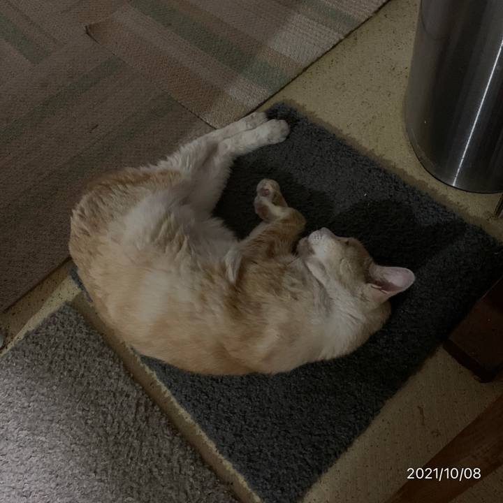 Fc5c0a58 3335 4982 accd bd795081df34 1633703884145