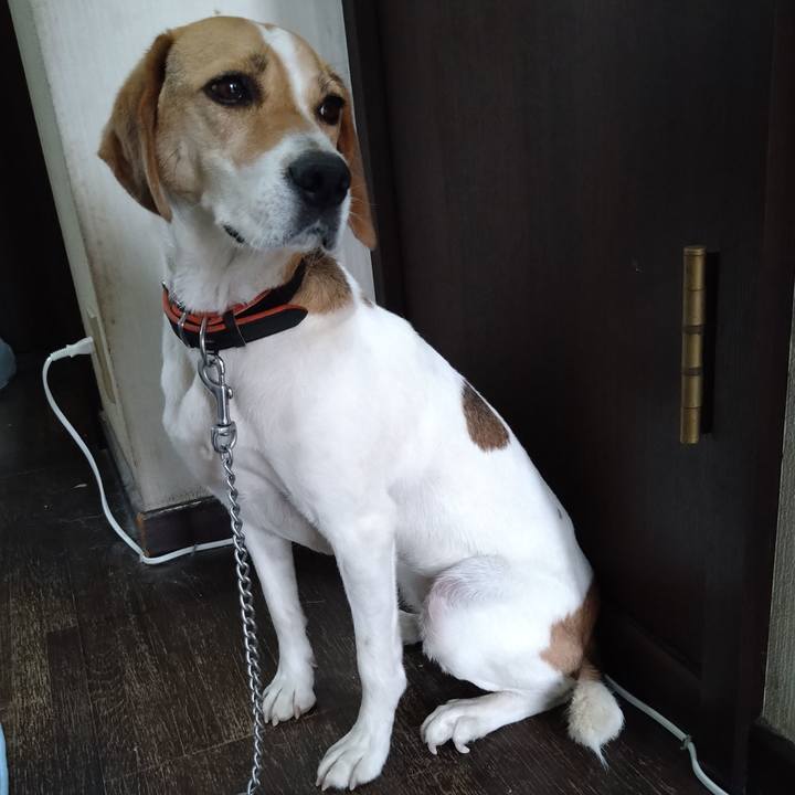 Fc5c3eb2 3291 404b ba56 992e3b4b536f 1627104329779