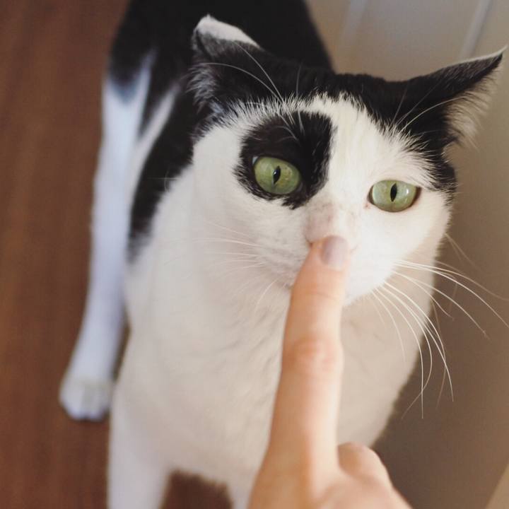 Fc5c9960 ebd6 455a acdb 6a1d3ee4e463 1604703313432