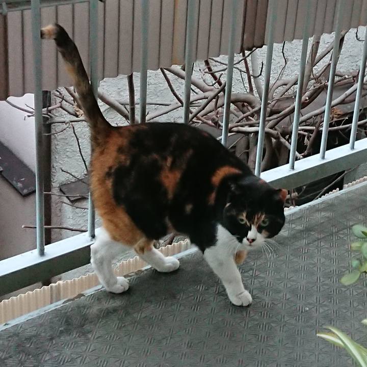 Fc5cb7b7 44f7 45d9 a889 c8d46b653df0 1548892616389