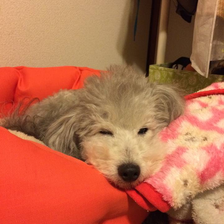 Fc5d374d 27e3 42ad ab03 7bd1b5a92abf 1511395106349