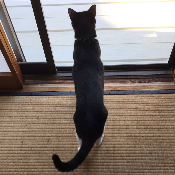 Fc5d63a7 2784 4f5d aa01 97e98f137ed7 1693914662552