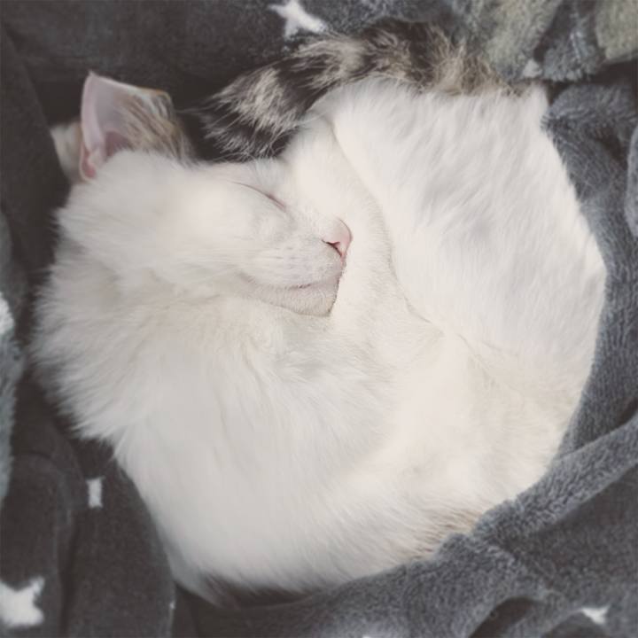 Fc5dbe99 4429 4904 8993 40f5dcd9cb04 1604704200912