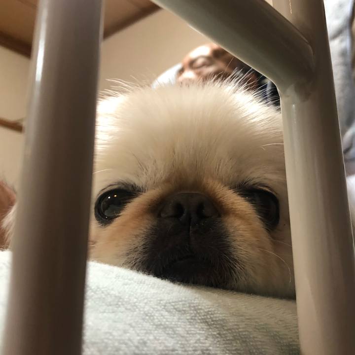 Fc5e6fae 99f3 49de 82e9 2ae3edaa8ba8 1563400145298