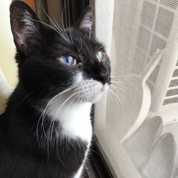 Fc5eaed5 b75f 485b 9f25 04f76f8d2d80 1530929480666