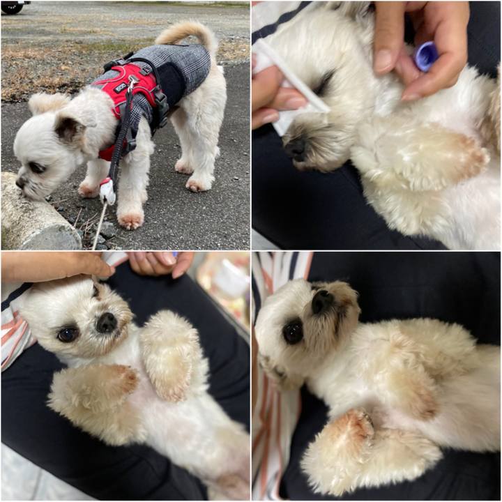 Fc5ecc01 74aa 409c b337 fe05cbed5018 1605879564810