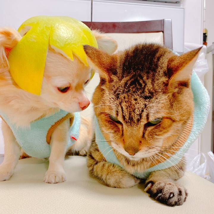 Fc5f1c91 bfe4 4a29 aa62 e40e46731605 1697719231801