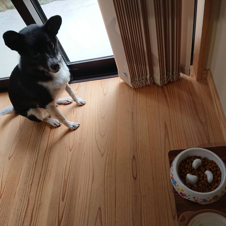 Fc5f1f4a ba5e 4f6e b699 c1dff128fd0f 1601942052842