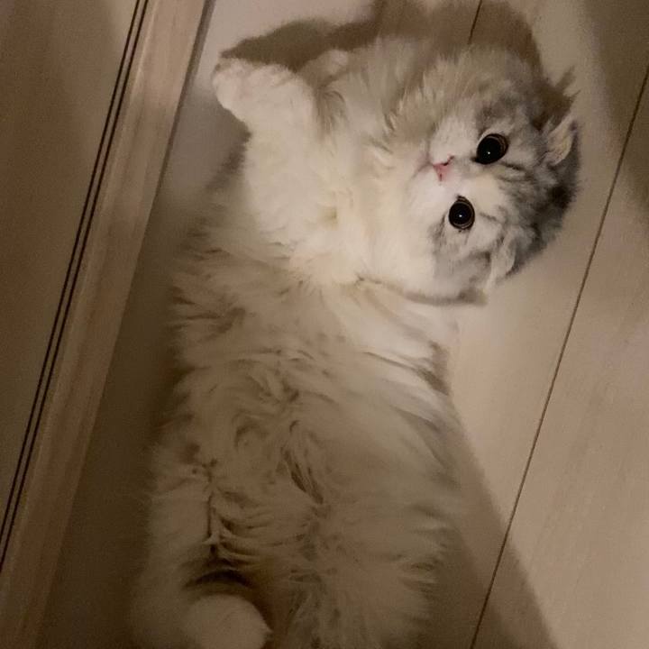 Fc5f3ad5 b39f 4105 a6a2 a894933145e1 1613944987375