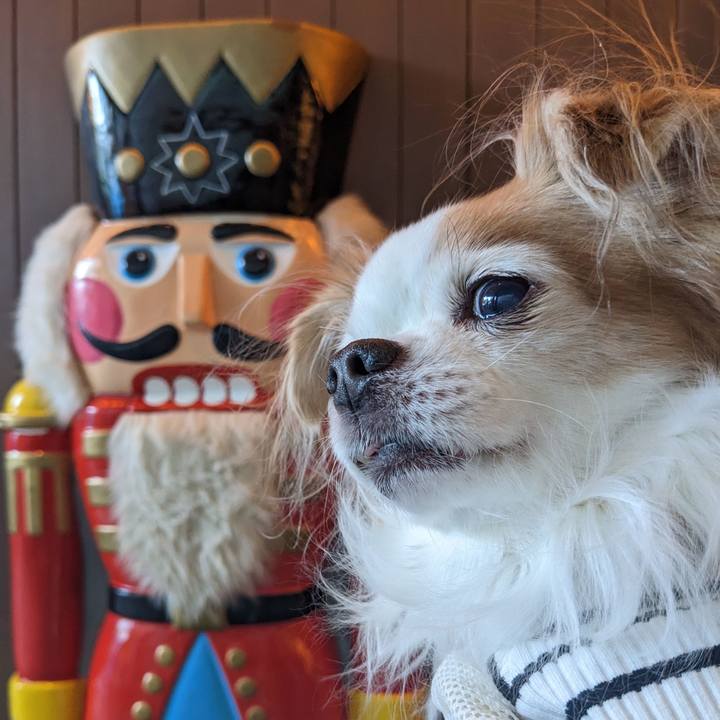 Fc5fa8f9 2d6b 4346 92cf 1ad158113d78 1671173718846