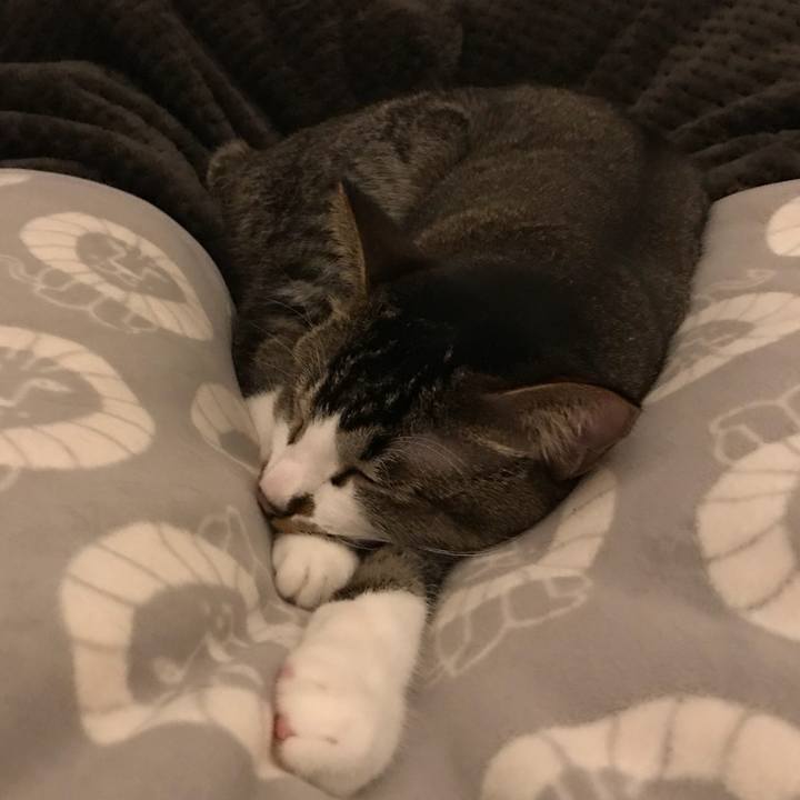 Fc5fc525 b8a8 4e42 bad0 6e559b061779 1523190771245