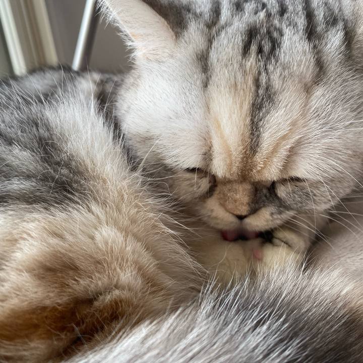 Fc5fd516 719e 4639 a770 65bb33adc37c 1764998455373