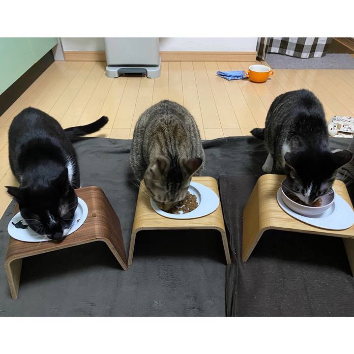 Fc5ffab7 2a9f 432d a01b d161c18b629a 1668980855091