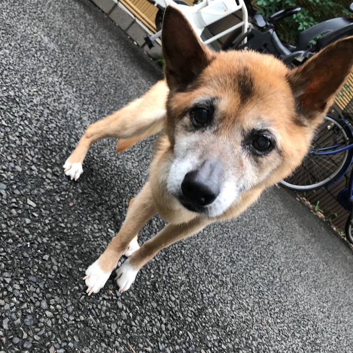 Fc5ffe66 8911 4e2e bd44 31c1d98d438a 1562536864813