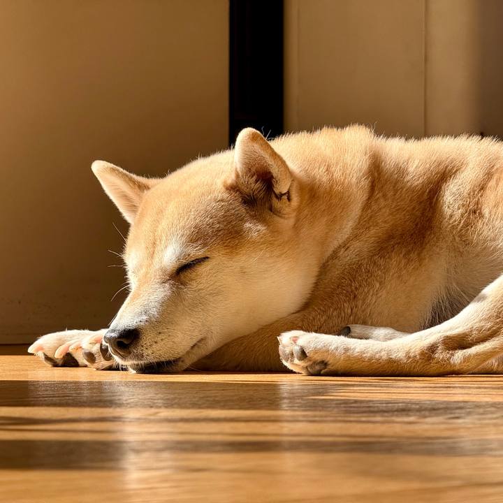 Fc6011bf 0b01 4031 822a 96a5bd03a162 1772422382102