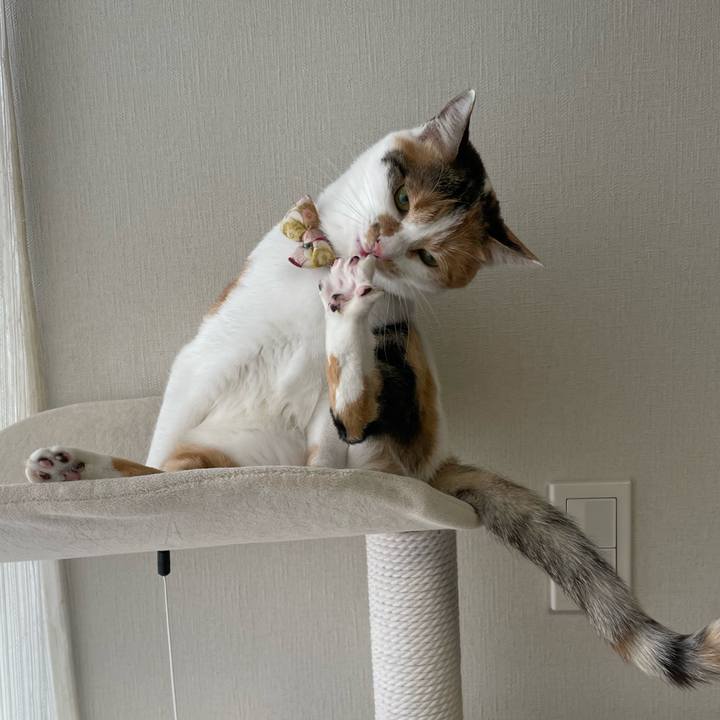 Fc6032e9 6cd0 46d7 a998 3f5f475009bc 1637206194554