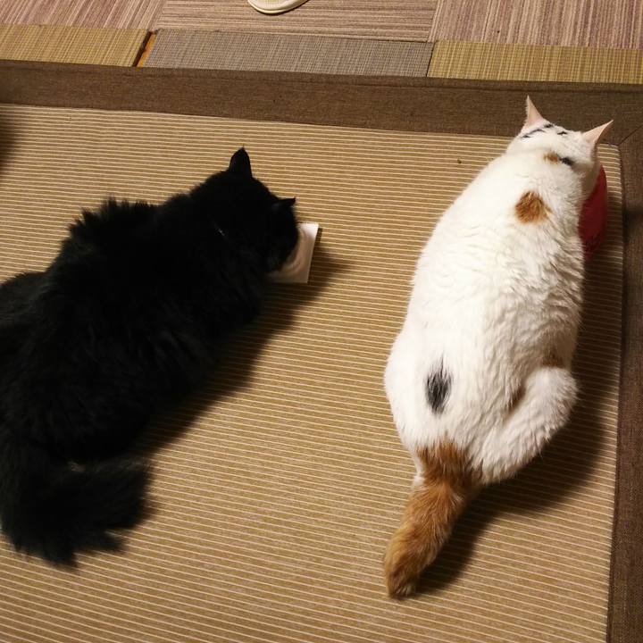 Fc605b0d 8633 4fc2 b922 ad29a95b6d86 1565447172808