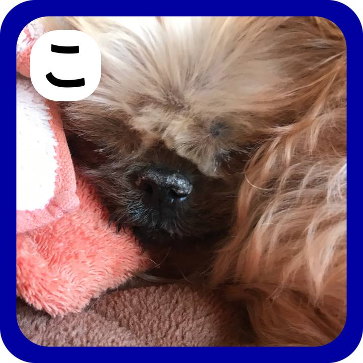 Fc60611e 0245 4a14 9fb8 85ae19a2f085 1514772723020