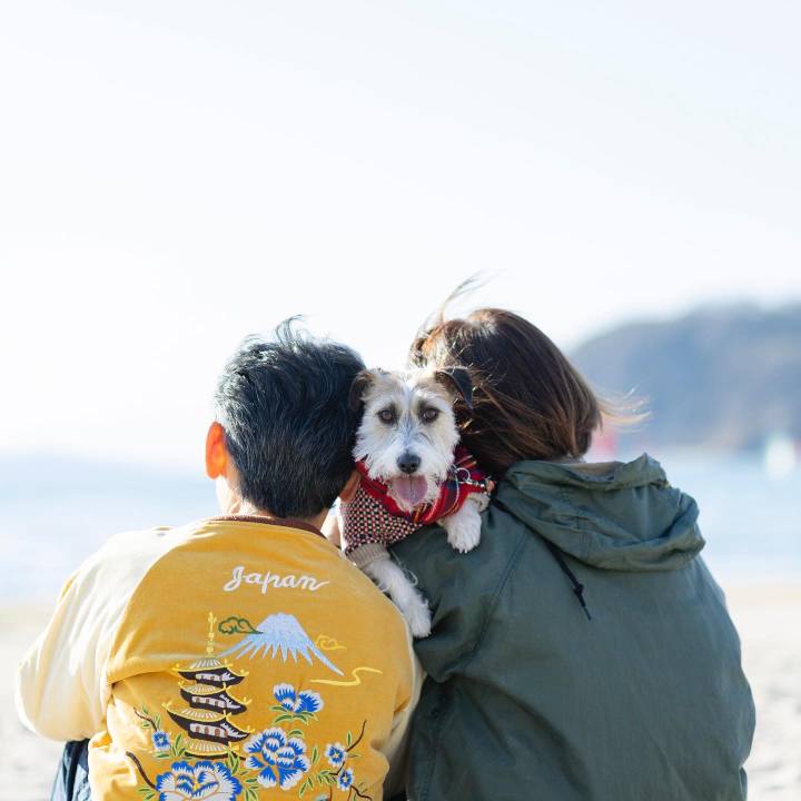 Fc6066e1 00cd 4539 a3ef 025446ab1c15 1648720445047