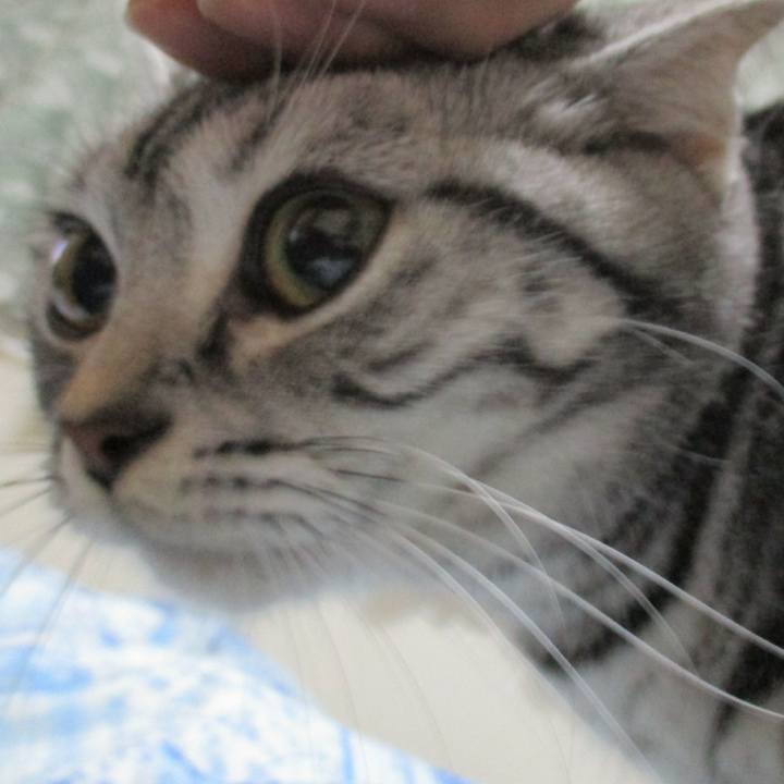 Fc608059 f0c9 4988 88e4 daa76d056f59 1547293614590