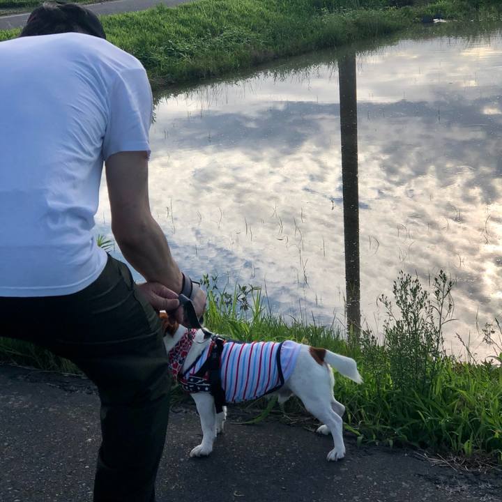 Fc60adaf f88c 4992 8d67 a2324c6c8a06 1625205141499