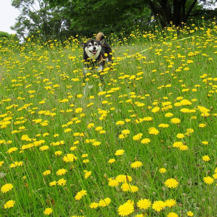 Fc60c0ad 3c30 43fd b3fe 4124c35a1d17 1590982098029