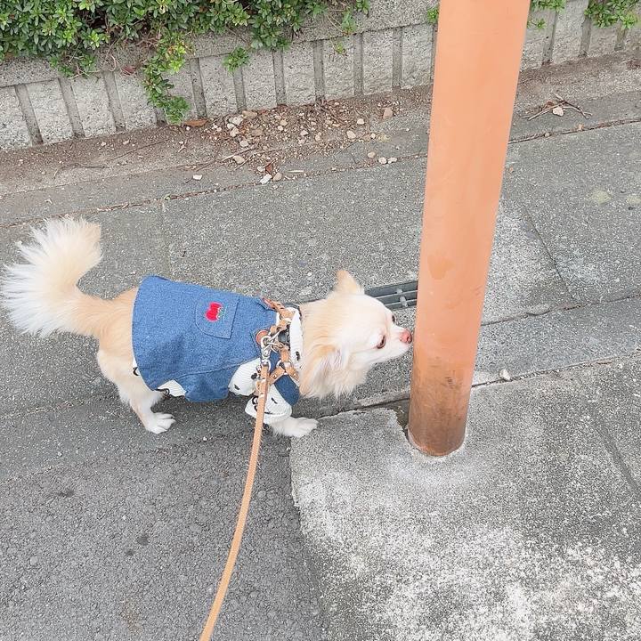 Fc60e7cc ce40 41cb bfe1 e7d67ee9bf4f 1729514368442