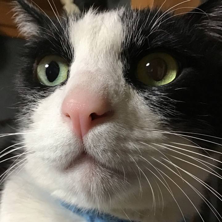 Fc613157 5d80 4fb1 b71c c95a17c1a674 1747131564870