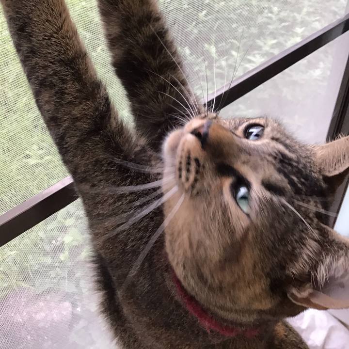 Fc618738 20fe 440d b7c1 af2764630b45 1600848008883