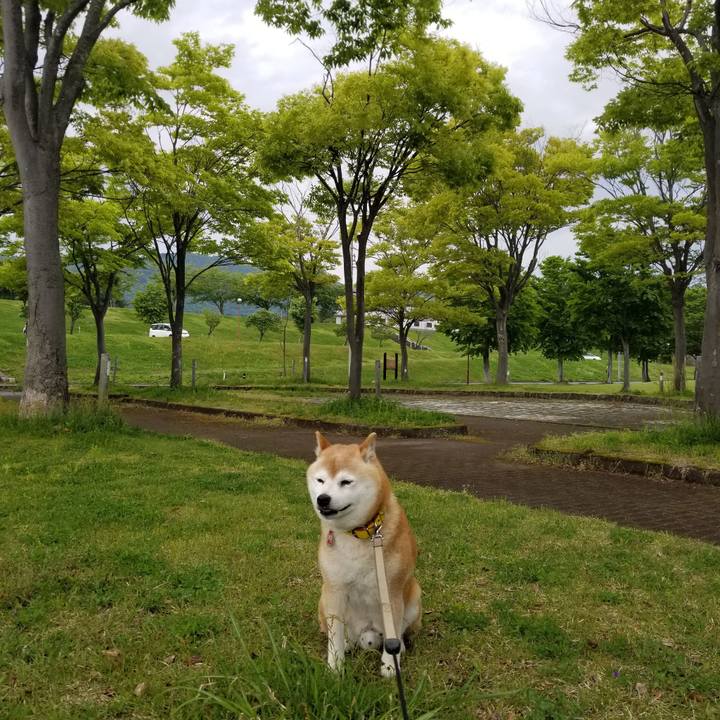 Fc618ef9 bae8 4989 bf52 f1746e1d60fc 1684045480657