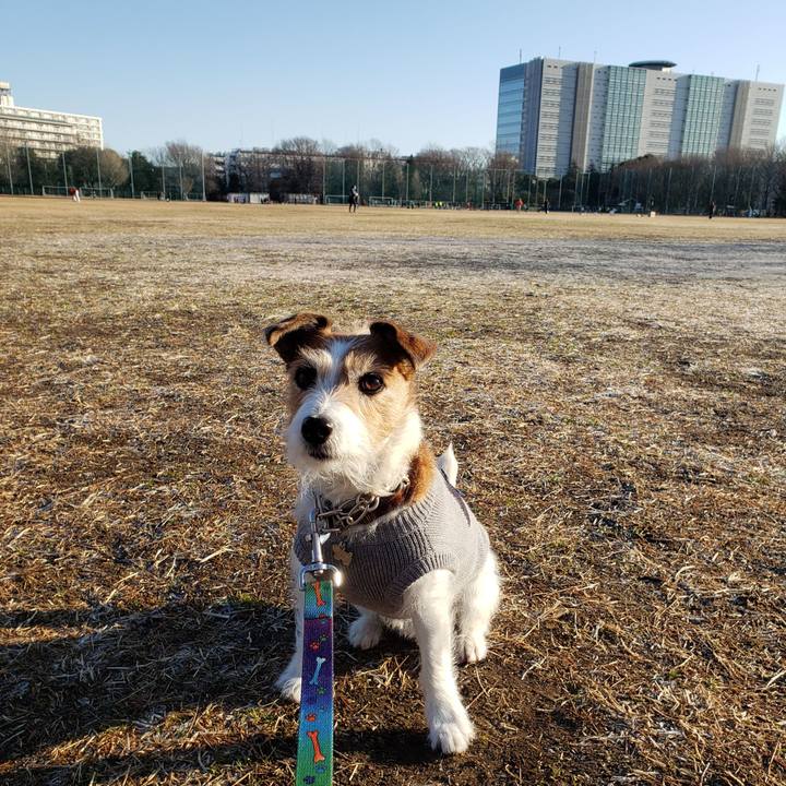 Fc61d2b4 17c4 4055 b1be d3867303fda4 1769845816841