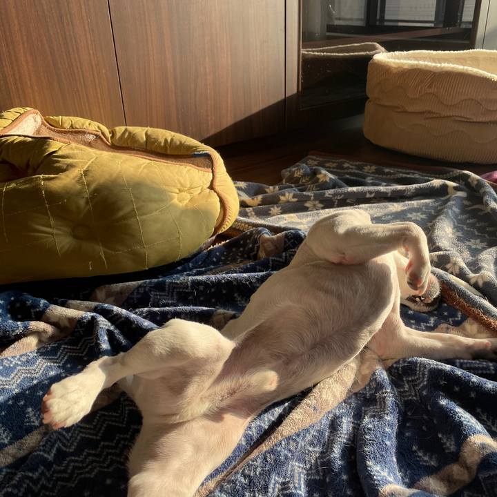 Fc6229ad 82ad 4b11 a779 6325e4ab53bf 1646260903253