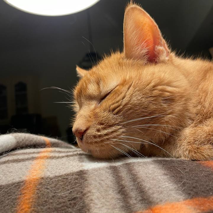 Fc6273d7 a7f2 4678 a2ab c47878d9bfde 1769272244857