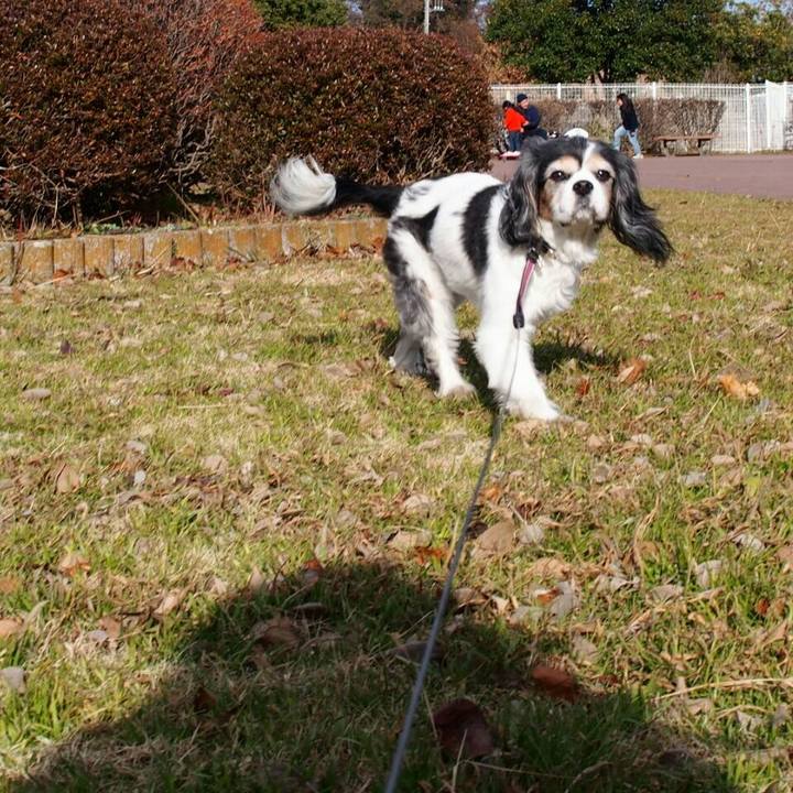 Fc627856 05ee 46d9 a104 2e9fcce6ab23 1513489848909