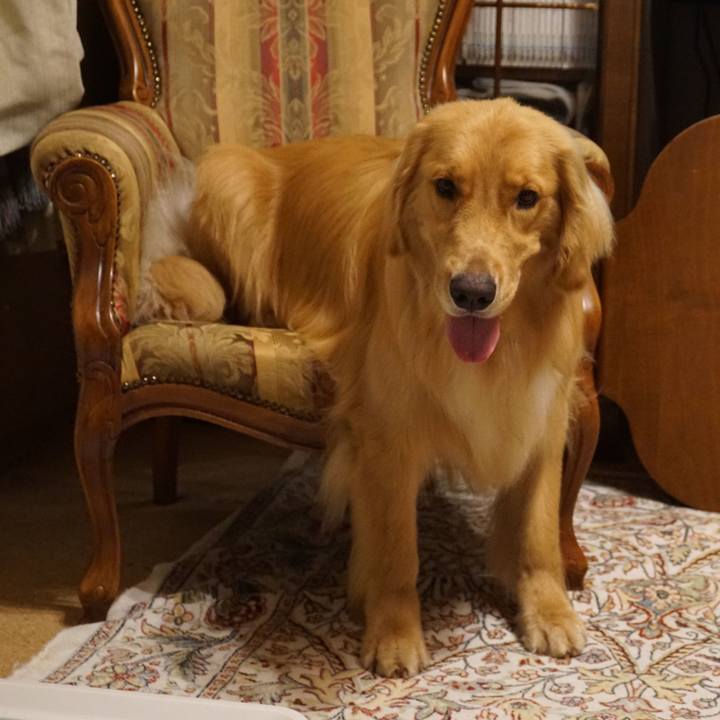 Fc62bae3 99ad 48a5 ba46 40488aec864d 1586187239354