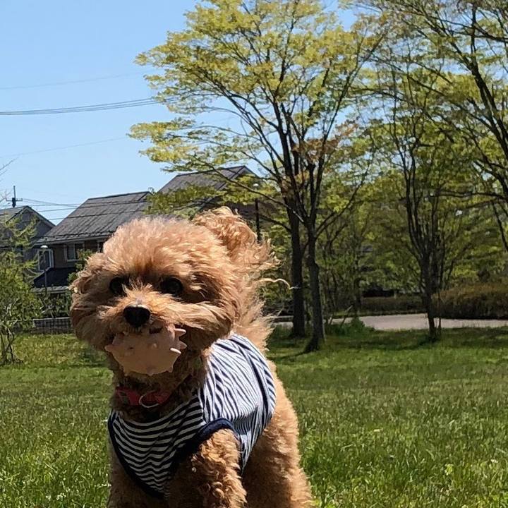 Fc62cbbf 939e 4148 b759 6447f1cb0c70 1556514882915