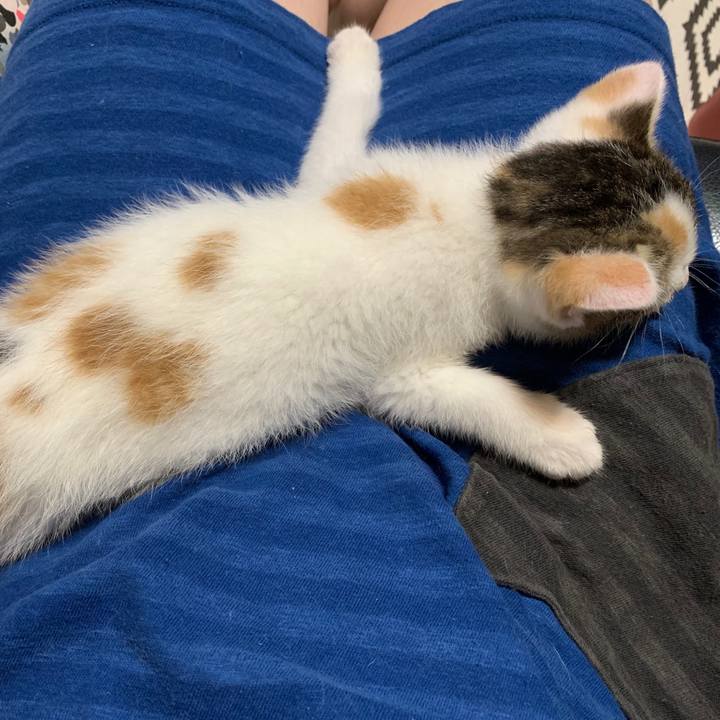 Fc62cc81 0e89 429b a5b8 5b2a53061b63 1591027464845