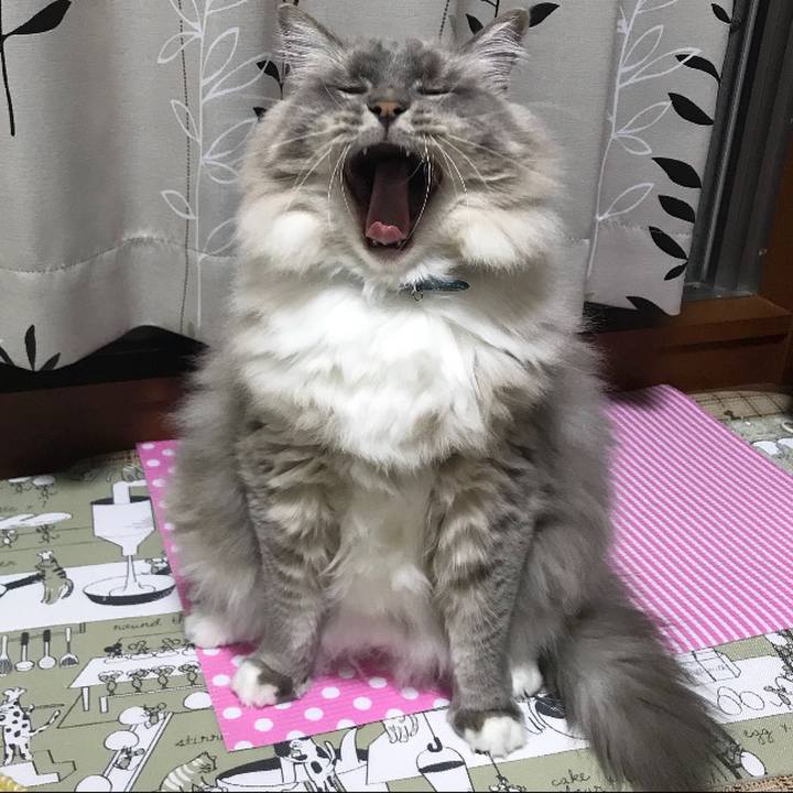 Fc63027c 0745 4f4f 99a4 026471ff33e9 1694836785799