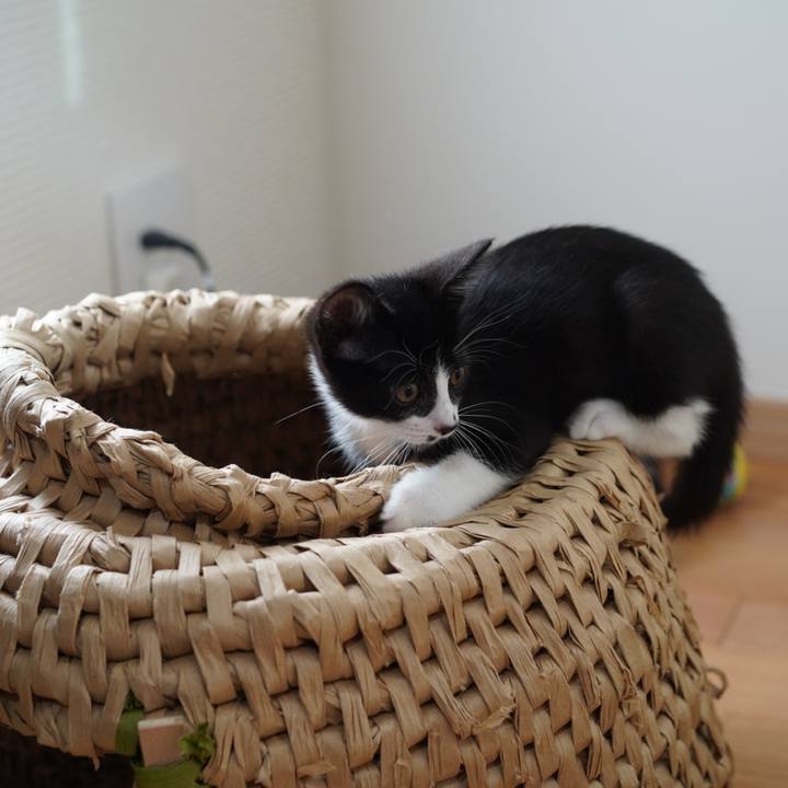 Fc63219c 7863 4a20 b251 79b60940ec7c 1567820294540