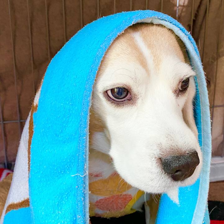 Fc637512 f9cb 46be 9b60 ede25a182379 1581221740409