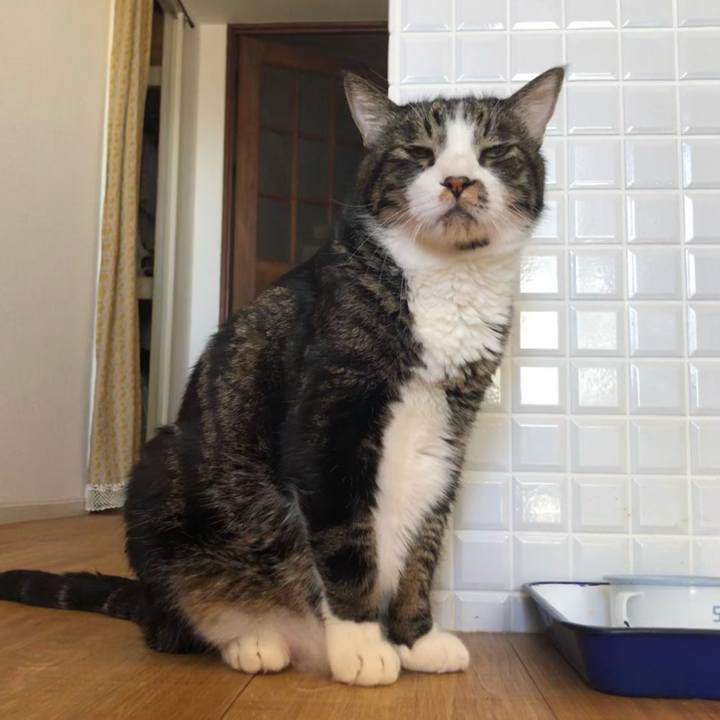 Fc637bdc f540 4216 a671 b319c80a8a72 1667697055536