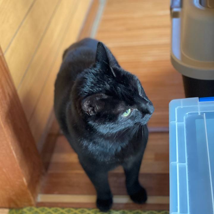 Fc63a155 fb4c 4f6b 8ca0 7912c8c89c6c 1615773107223