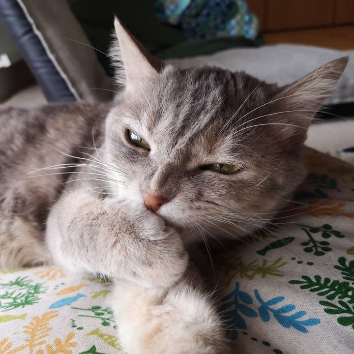 Fc63e263 a40c 4b31 be16 6690c6ebed80 1566713126151