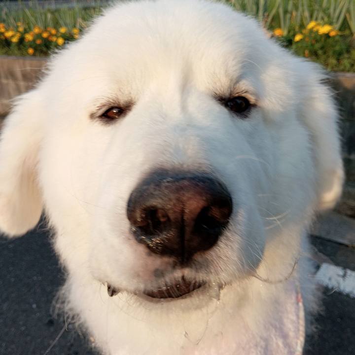 Fc63f44a 74b6 4ec0 b7a4 595fadd7e1ac 1720386172866