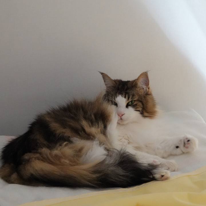 Fc63f954 324d 470f 9497 4abc4d067b2d 1558876278090