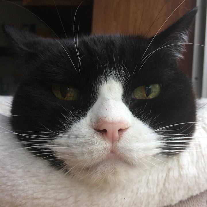 Fc63fea9 e6ca 4f63 adb2 a70df99ea066 1604360971754