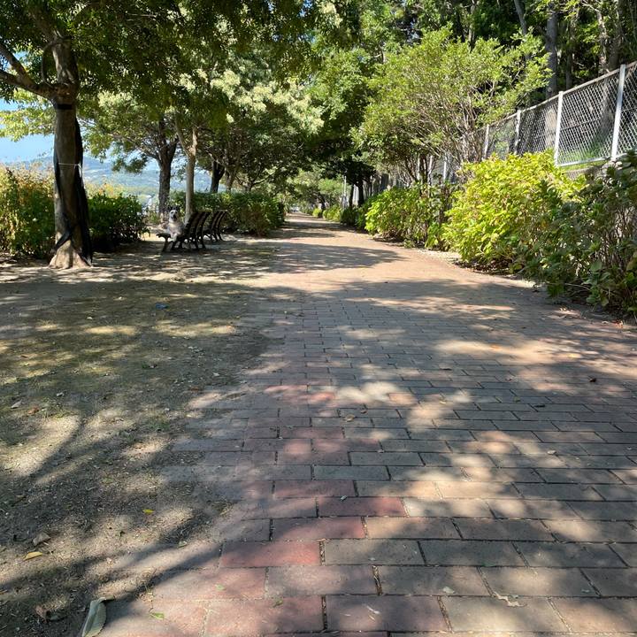 Fc641948 8a4d 453d 900f a8bd3a05e225 1633820016775