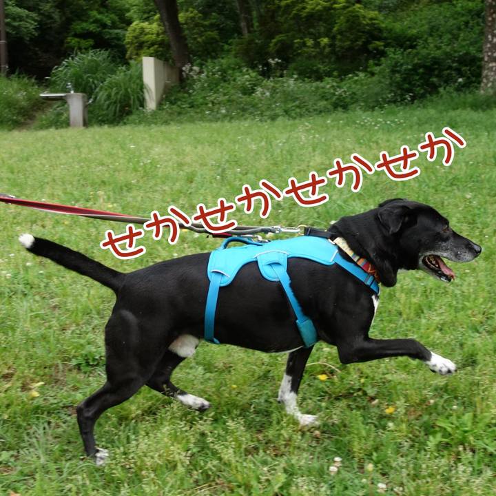 Fc642d6c 39fa 4b3b 8ea4 f50f8b7ba88a 1715042243463